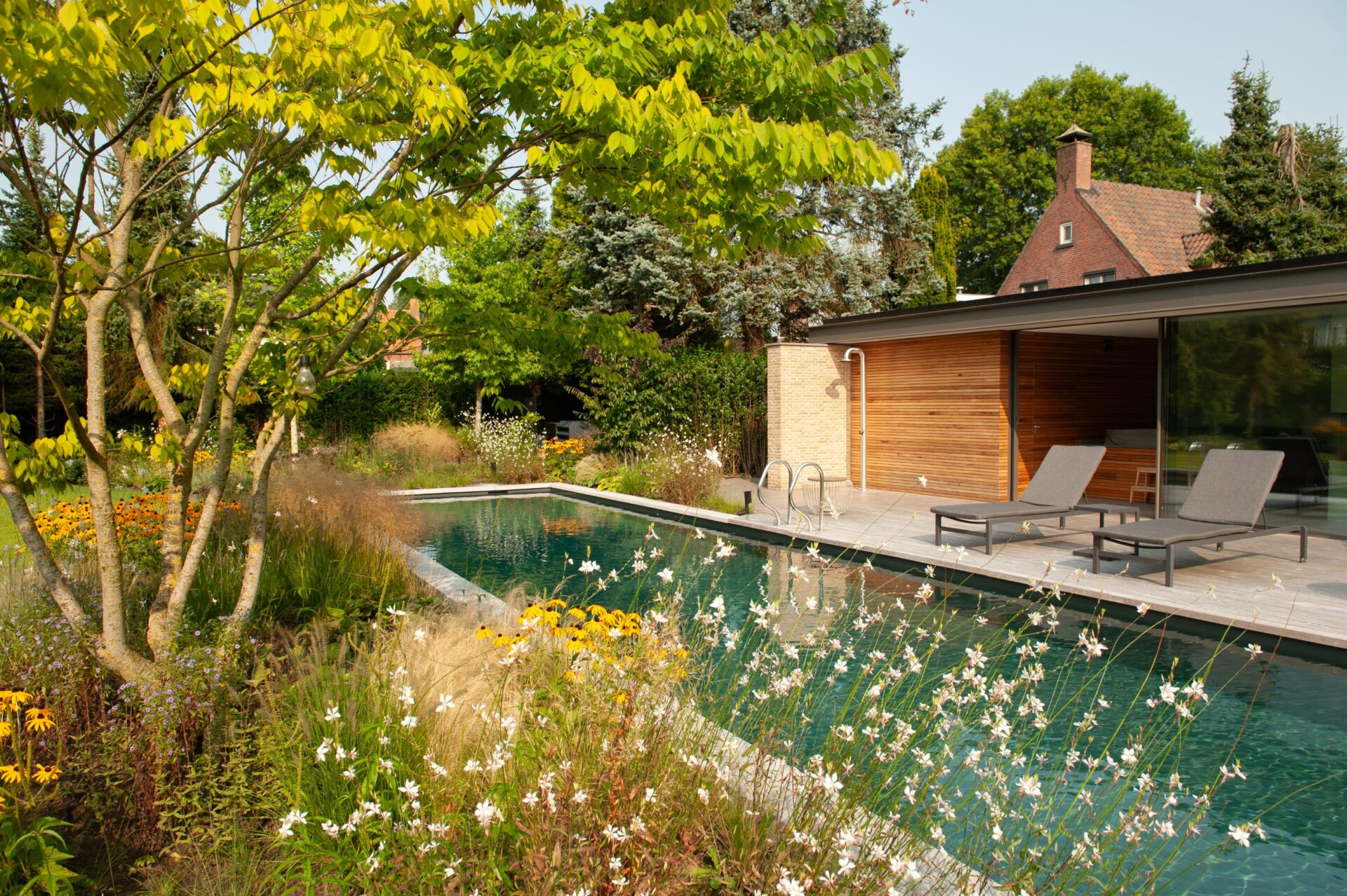 Langwerpige living pool, omgeven door borders met wilde bloemen, met aan de rechterkant een modern houten poolhouse en twee ligstoelen op het terras.