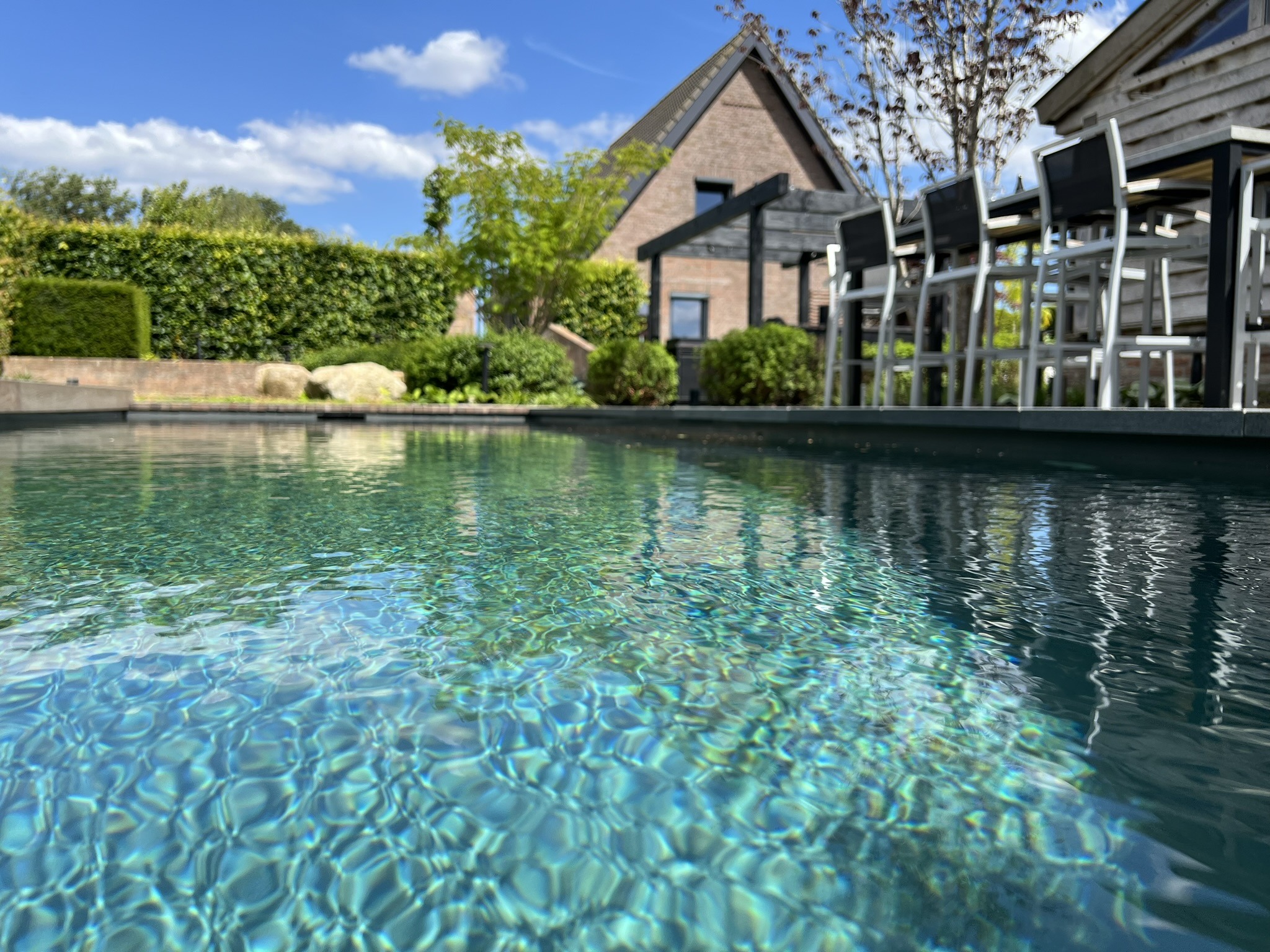 Wateroppervlak van een strakke zwemvijver met op de achtergrond een modern terras met barkrukken, een donkere pergola en een bakstenen huis.