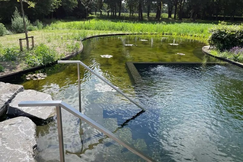 Natuurlijke zwemvijver met trapje, waterplanten en helder zwemwater in een groene bostuin