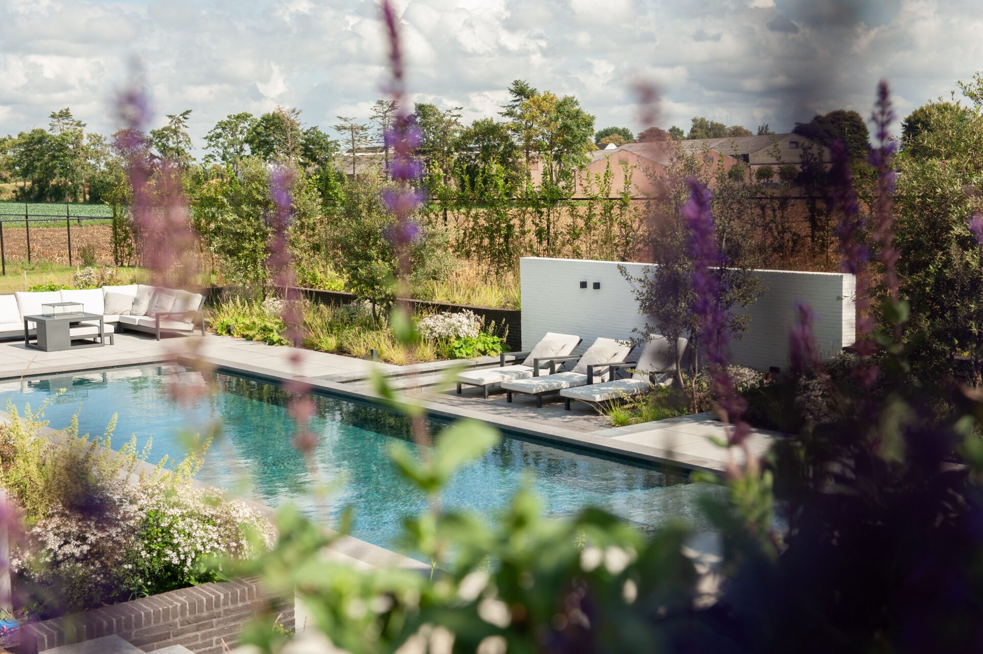 Strakke living pool met helder water, omgeven door paarse bloemen en grassen op een stijlvol terras met loungemeubilair.