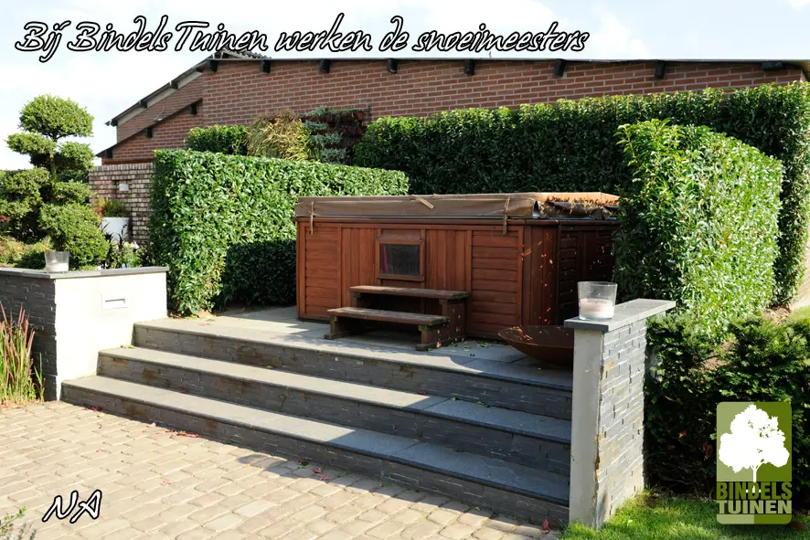 Het is nu tijd om de hagen te snoeien - Bindels Buiten Beleving