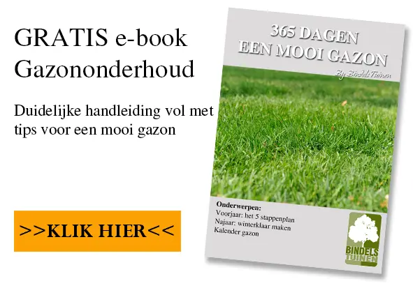 Alles wat u moet weten over uw gazon en gazononderhoud - Bindels Buiten Beleving
