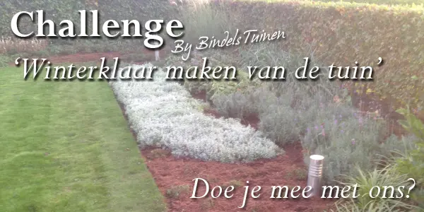 10 tips om uw tuin winterklaar te maken in oktober