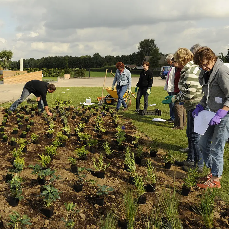 Een goed beplantingsplan maken? Ontdek 10 praktische tips voor kleur, structuur en balans in je tuin. De basis voor een sterk tuinontwerp.