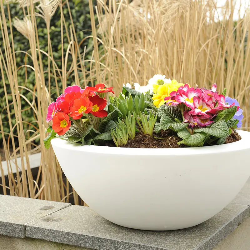 Tuin in februari: kijk vooruit naar het nieuwe tuinseizoen. Ontdek wat je nu al kunt doen om straks volop te genieten van je tuin.