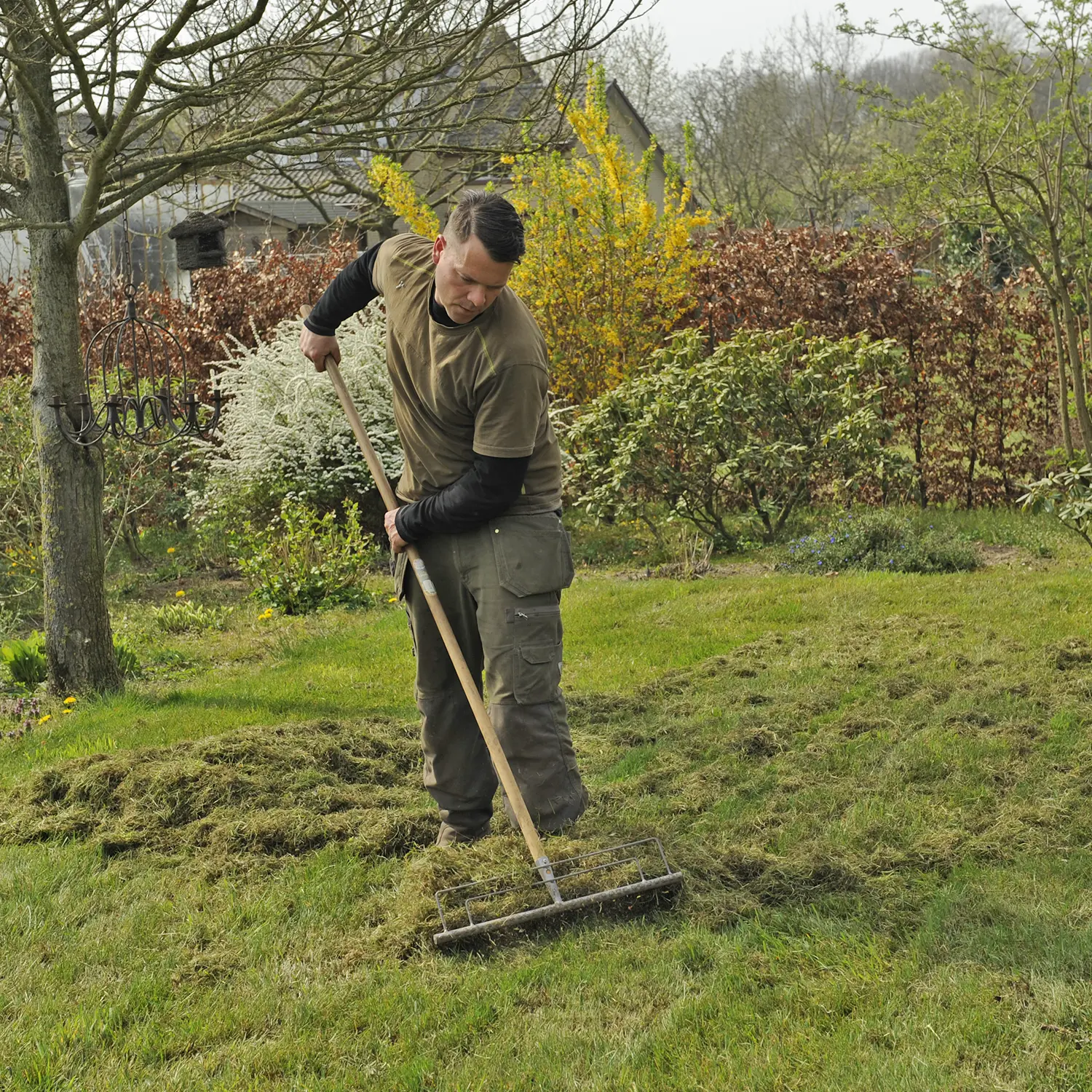 Gazononderhoud, in 5 stappen naar een mooi gazon - Bindels Buiten Beleving