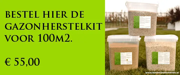 Alles wat u moet weten over uw gazon en gazononderhoud - Bindels Buiten Beleving