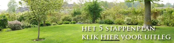 Alles wat u moet weten over uw gazon en gazononderhoud - Bindels Buiten Beleving