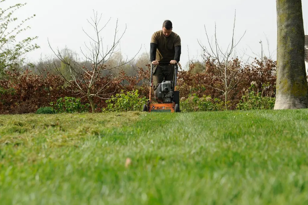 Alles wat u moet weten over uw gazon en gazononderhoud - Bindels Buiten Beleving