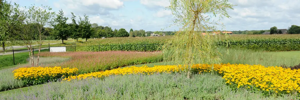 Een onderhoudsarme tuin zonder grind - Bindels Buiten Beleving