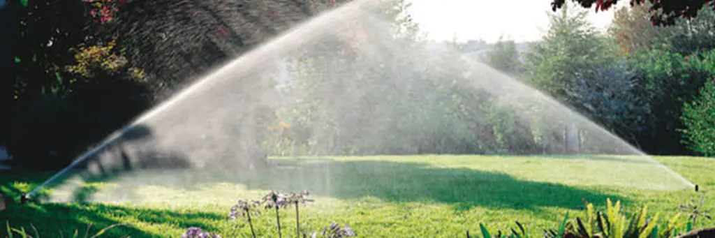Een onderhoudsarme tuin zonder grind - Bindels Buiten Beleving