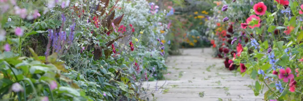 Een onderhoudsarme tuin zonder grind - Bindels Buiten Beleving