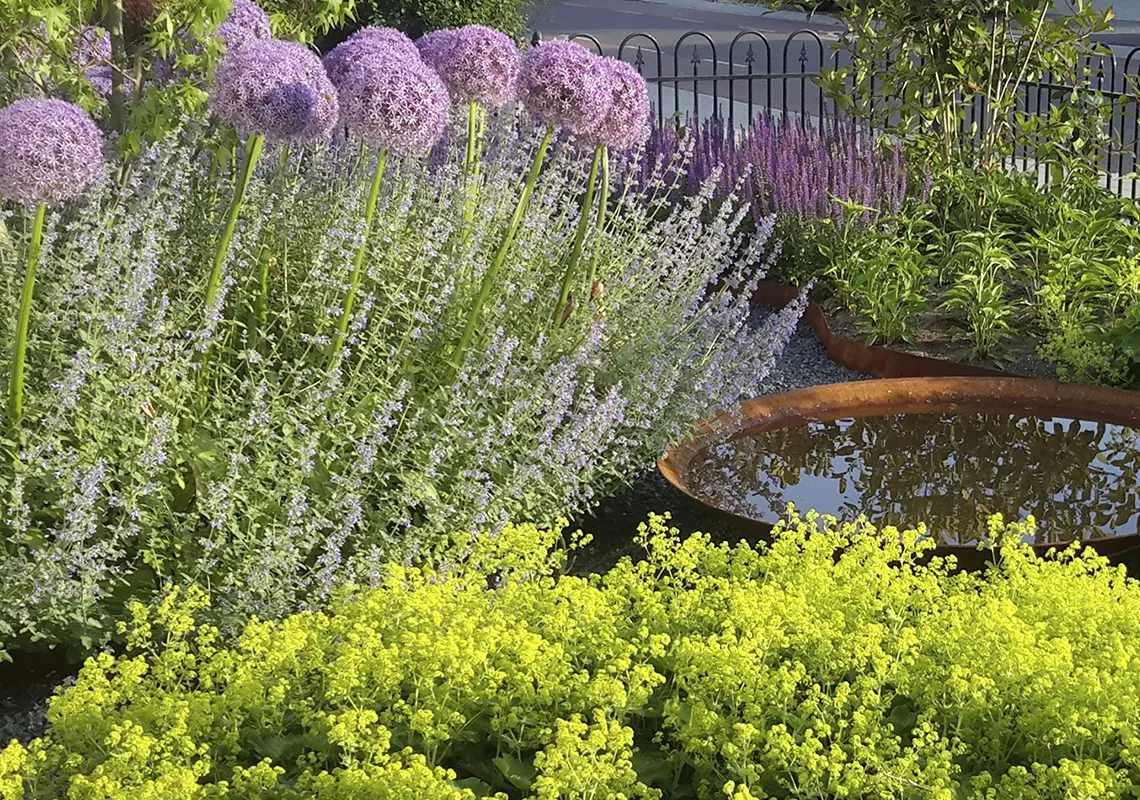 Een onderhoudsarme tuin mét planten