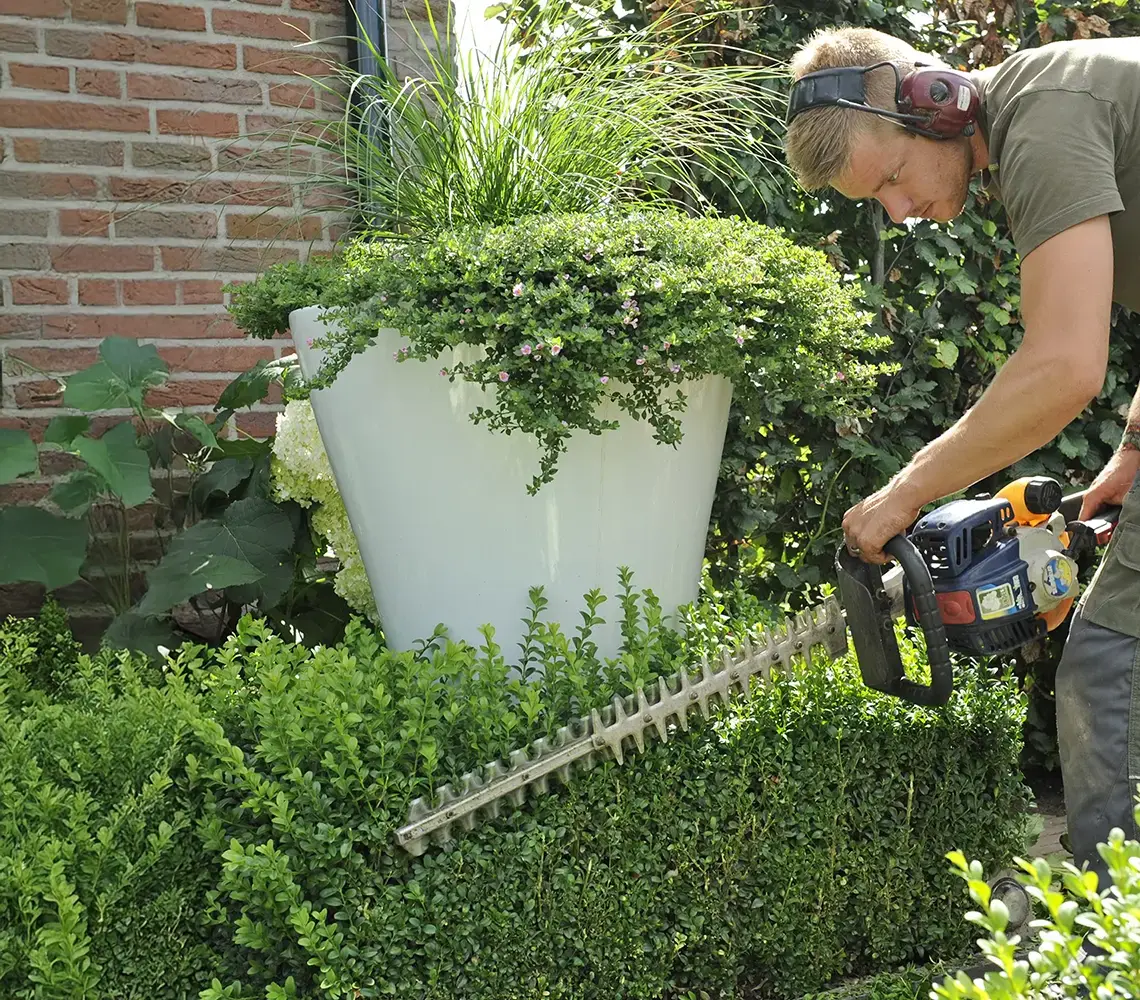 Tuinonderhoud september - Bindels Buiten Beleving