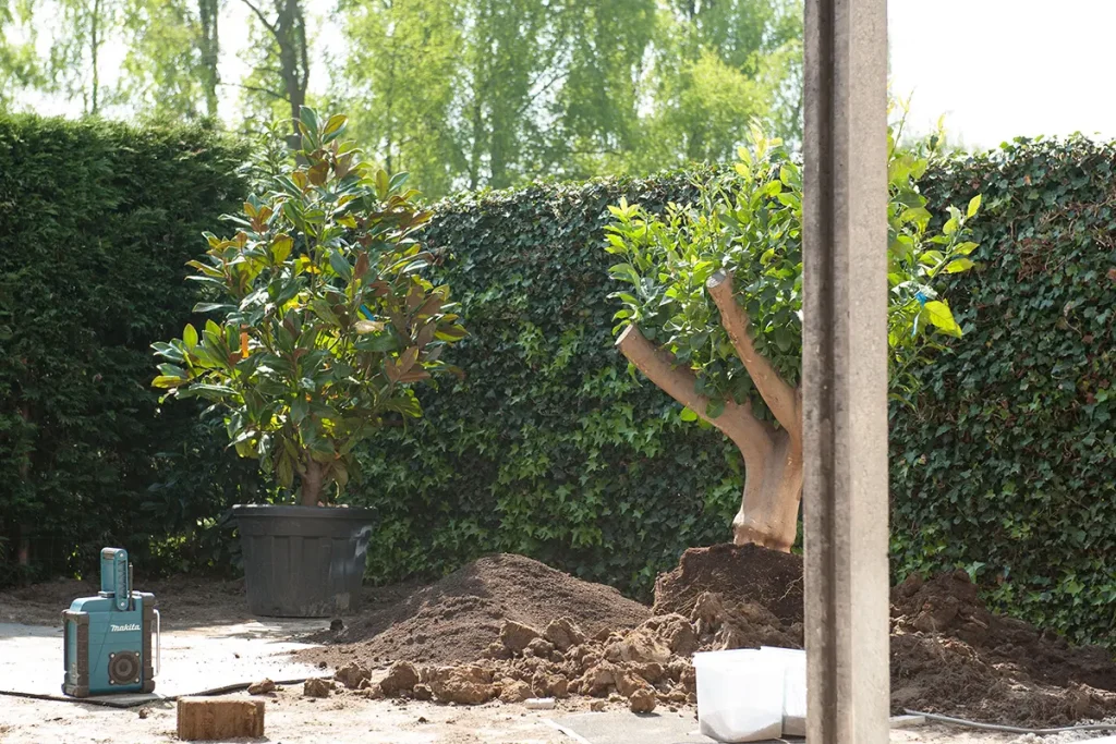 Mediterraanse tuin Milsbeek: een warm tuinontwerp met zuidelijke sferen, natuurlijke materialen en kleurrijke beplanting. Genieten in mediterrane stijl.Mediterraanse tuin Milsbeek: een warm tuinontwerp met zuidelijke sferen, natuurlijke materialen en kleurrijke beplanting. Genieten in mediterrane stijl.Mediterraanse tuin Milsbeek: een warm tuinontwerp met zuidelijke sferen, natuurlijke materialen en kleurrijke beplanting. Genieten in mediterrane stijl.Mediterraanse tuin Milsbeek: een warm tuinontwerp met zuidelijke sferen, natuurlijke materialen en kleurrijke beplanting. Genieten in mediterrane stijl.Mediterraanse tuin Milsbeek: een warm tuinontwerp met zuidelijke sferen, natuurlijke materialen en kleurrijke beplanting. Genieten in mediterrane stijl.Mediterraanse tuin Milsbeek: een warm tuinontwerp met zuidelijke sferen, natuurlijke materialen en kleurrijke beplanting. Genieten in mediterrane stijl.