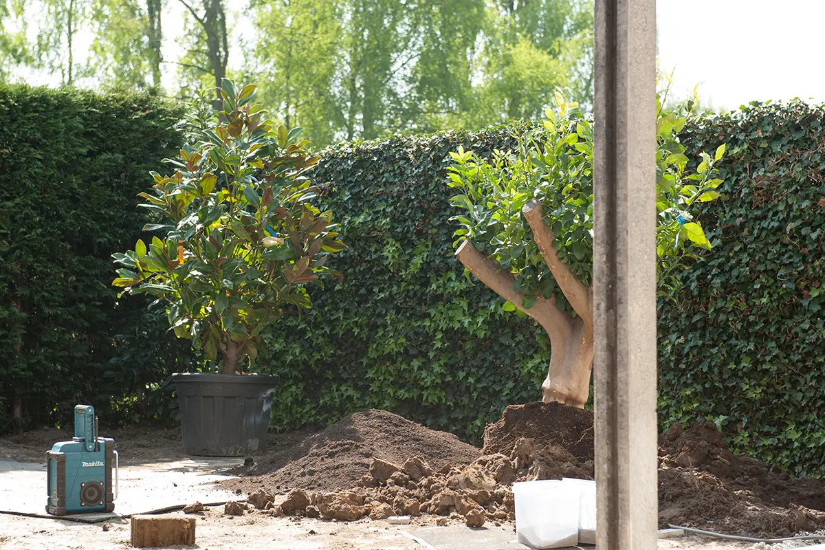 Mediterraanse tuin Milsbeek: een warm tuinontwerp met zuidelijke sferen, natuurlijke materialen en kleurrijke beplanting. Genieten in mediterrane stijl.Mediterraanse tuin Milsbeek: een warm tuinontwerp met zuidelijke sferen, natuurlijke materialen en kleurrijke beplanting. Genieten in mediterrane stijl.Mediterraanse tuin Milsbeek: een warm tuinontwerp met zuidelijke sferen, natuurlijke materialen en kleurrijke beplanting. Genieten in mediterrane stijl.Mediterraanse tuin Milsbeek: een warm tuinontwerp met zuidelijke sferen, natuurlijke materialen en kleurrijke beplanting. Genieten in mediterrane stijl.Mediterraanse tuin Milsbeek: een warm tuinontwerp met zuidelijke sferen, natuurlijke materialen en kleurrijke beplanting. Genieten in mediterrane stijl.Mediterraanse tuin Milsbeek: een warm tuinontwerp met zuidelijke sferen, natuurlijke materialen en kleurrijke beplanting. Genieten in mediterrane stijl.
